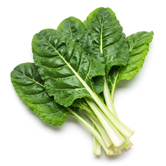 Acelga/ Swiss Chard