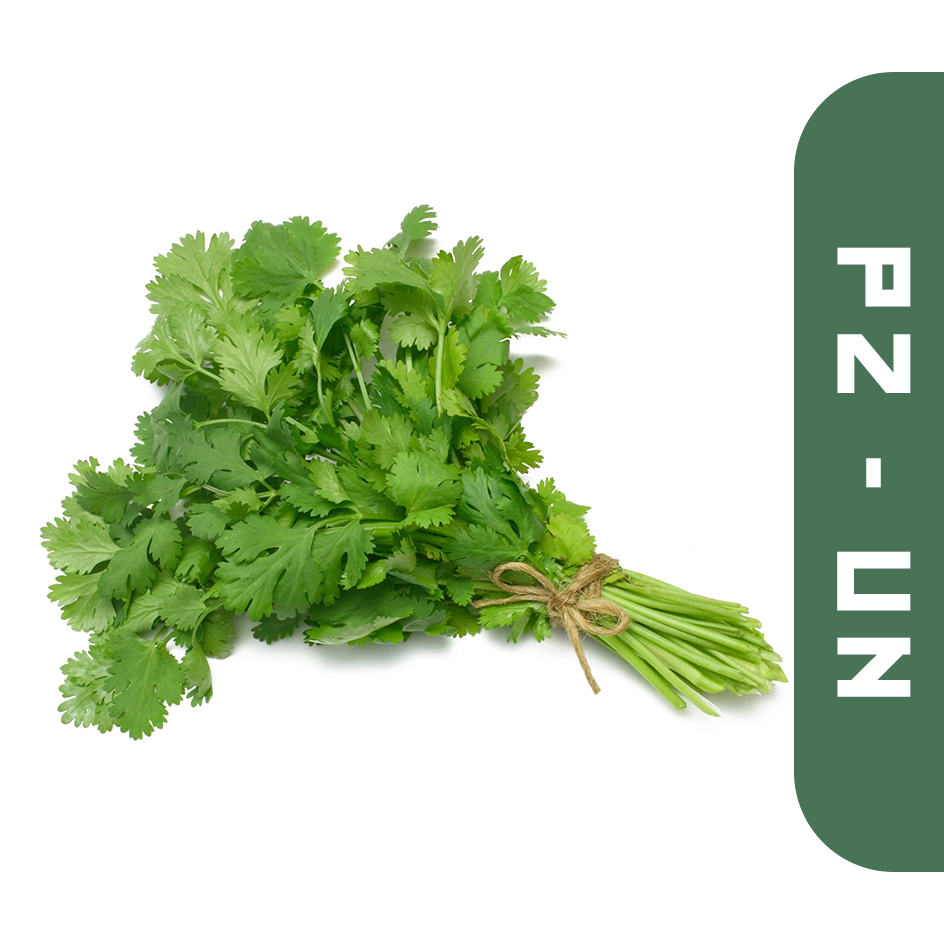 Cilantro Pz
