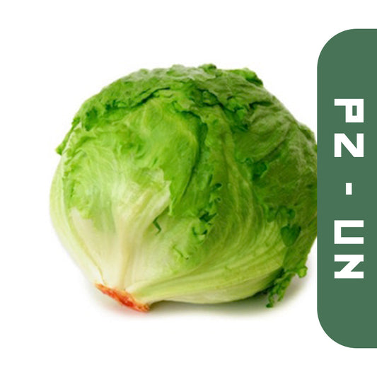 Lettuce Pz